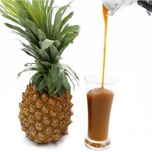 En Kaliteli Ananas Suyu Konsantresi